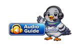 Audio Guide