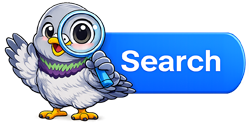 Search