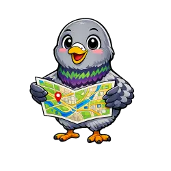 City Guide